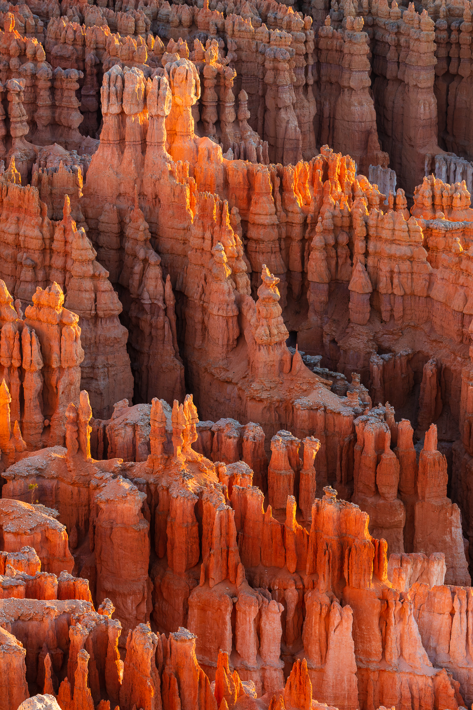 2nd PrizeOpen Color In Class 2 By Bill Crnkovich For Morning Light In Bryce Canyon DEC-2021.jpg